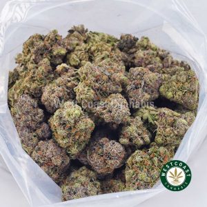 Buy weed Purple Bruce Banner AAAA wc cannabis weed dispensary & online pot shop