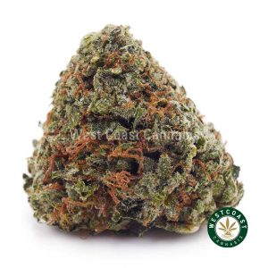 Buy weed Tuna Kush AAA wc cannabis weed dispensary & online pot shop