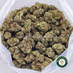 Buy weed Tuna Kush AAA wc cannabis weed dispensary & online pot shop