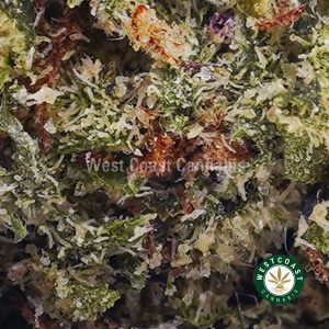 Buy weed Granddaddy Purple AAA wc cannabis weed dispensary & online pot shop