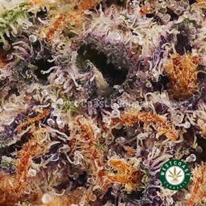 Buy weed Astroboy AAA wc cannabis weed dispensary & online pot shop