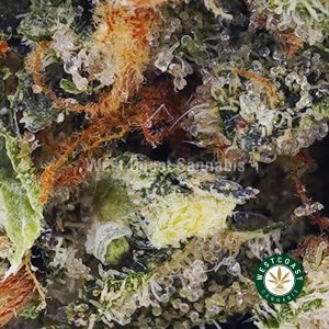 Buy weed Gas Mask AAA wc cannabis weed dispensary & online pot shop