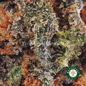 Buy weed Hawaiian Haze AAA wc cannabis weed dispensary & online pot shop