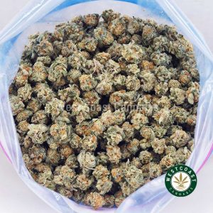 Buy weed White Biscotti AAAA (Popcorn Nugs) wc cannabis weed dispensary & online pot shop