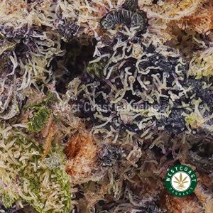 Buy weed Tropical Punch AAAA wc cannabis weed dispensary & online pot shop