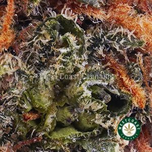 Buy weed Watermelon Zkittlez AAAA wc cannabis weed dispensary & online pot shop