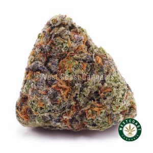 Buy weed Biscotti AAA wc cannabis weed dispensary & online pot shop