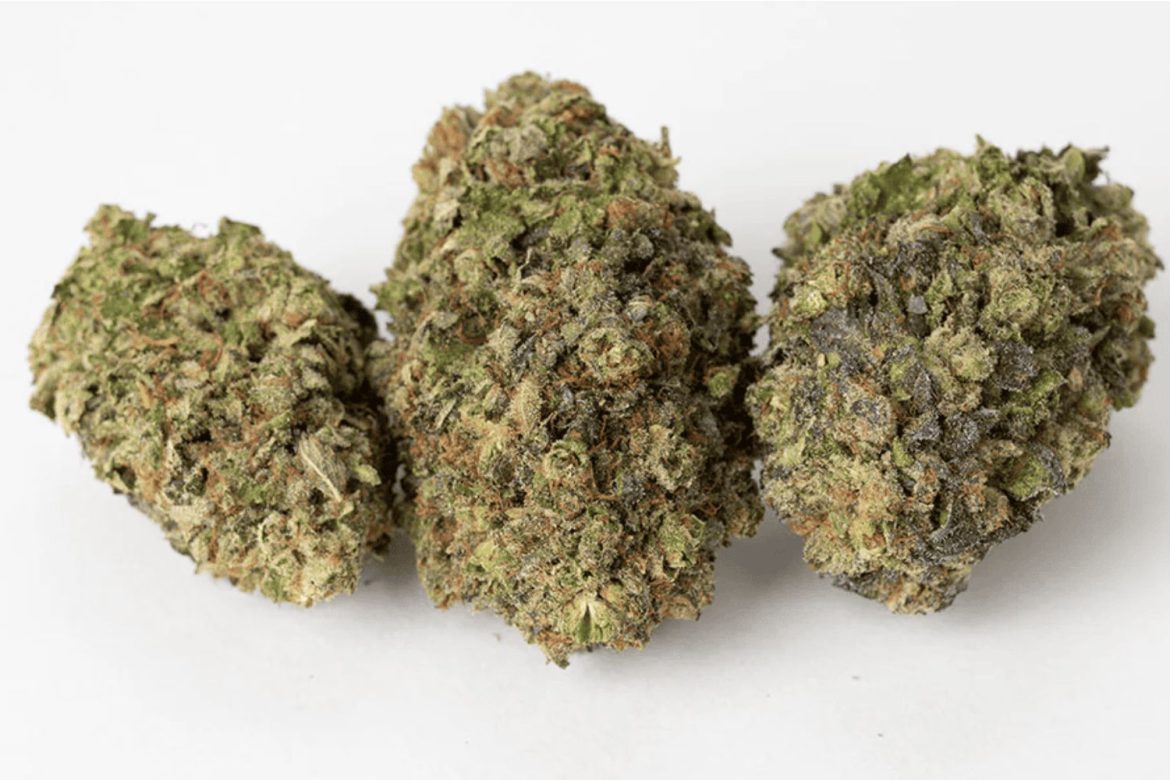 Bubba Kush has existed for almost 3 decades and is still popular. In this review, we discuss this strain to help you decide if it’s worth trying.