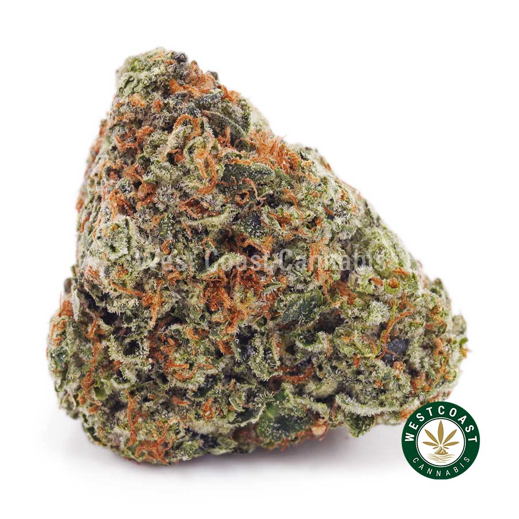 Buy weed Critical Kush AAA wc cannabis weed dispensary & online pot shop