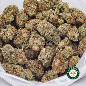 Buy weed Critical Kush AAA wc cannabis weed dispensary & online pot shop