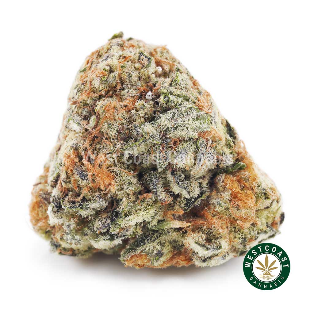 Buy weed Gorilla Cake AAAA wc cannabis weed dispensary & online pot shop