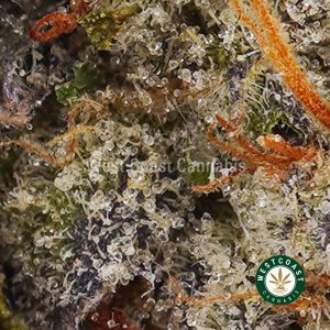 Buy weed Platinum Cookies AAAA wc cannabis weed dispensary & online pot shop