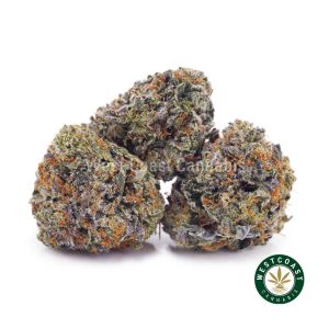 Buy weed Platinum Kush Breath AAAA (Popcorn Nugs) wc cannabis weed dispensary & online pot shop