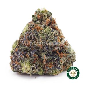 Buy weed Atomic Blueberry AAAA wc cannabis weed dispensary & online pot shop