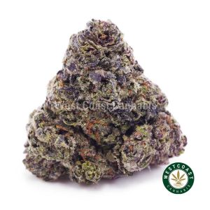 Buy weed Purple Amnesia AAA wc cannabis weed dispensary & online pot shop