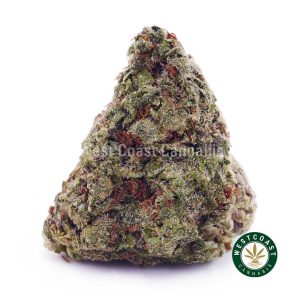 Buy weed Sherbet AAA wc cannabis weed dispensary & online pot shop