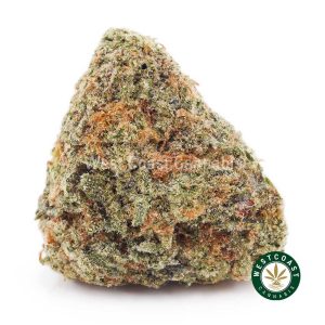 Buy weed Slurricane AAAA wc cannabis weed dispensary & online pot shop