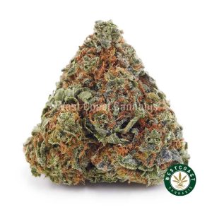 Buy weed UK Cheese AAA wc cannabis weed dispensary & online pot shop