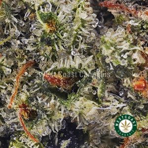 Buy weed Rockstar AAAA (Popcorn Nugs) wc cannabis weed dispensary & online pot shop