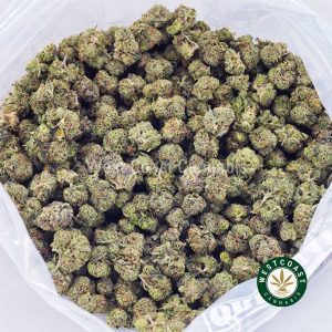 Buy weed Rockstar AAAA (Popcorn Nugs) wc cannabis weed dispensary & online pot shop