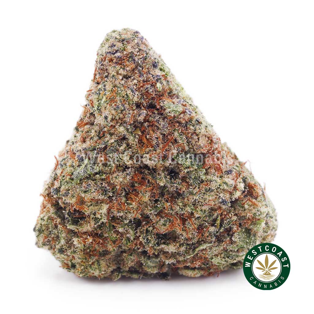 Buy weed Sunset Sherbert AAAA wc cannabis weed dispensary & online pot shop