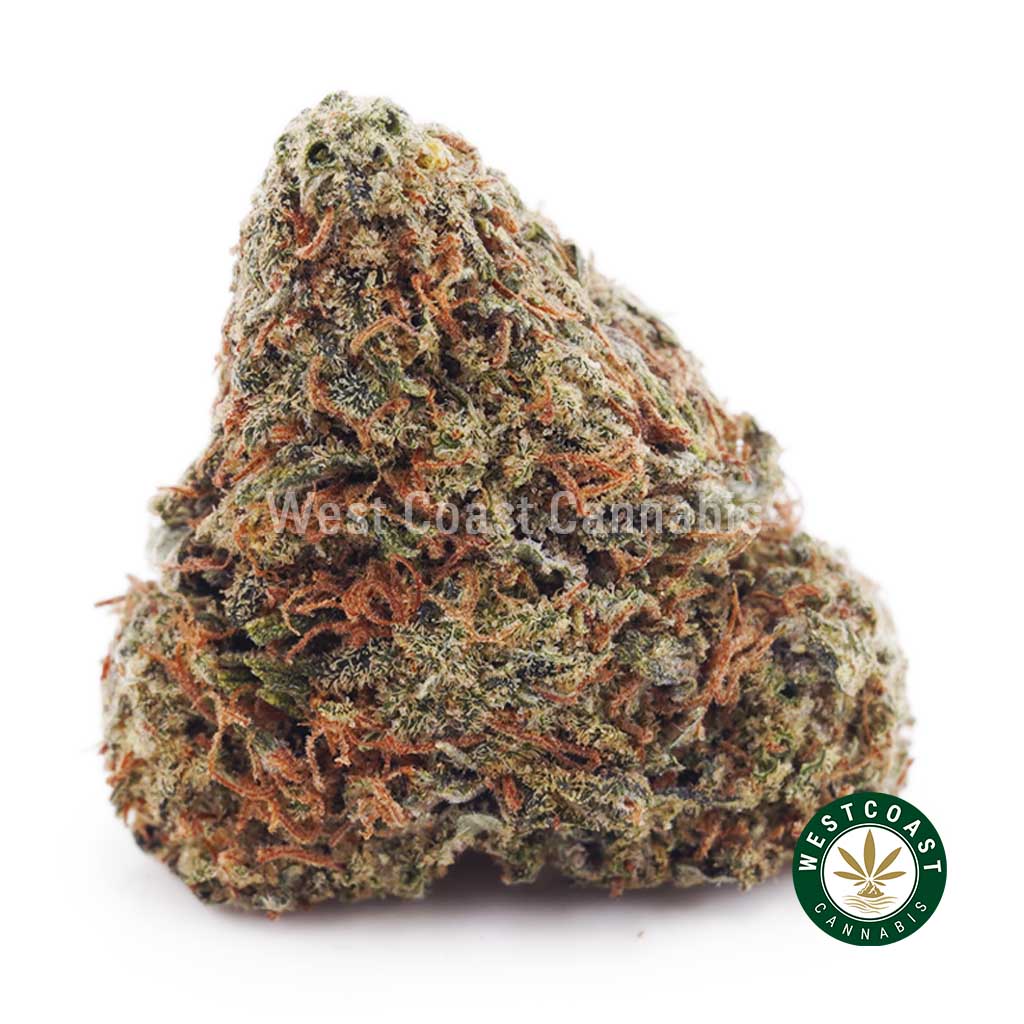 Buy weed Island Sweet Skunk AA wc cannabis weed dispensary & online pot shop