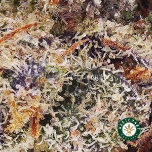 Buy weed Platinum Blackberry AAAA wc cannabis weed dispensary & online pot shop