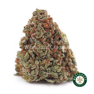 Buy weed King’s Kush AAA wc cannabis weed dispensary & online pot shop