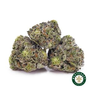 Buy weed Pink Anixety AAAA (Popcorn Nugs) wc cannabis weed dispensary & online pot shop