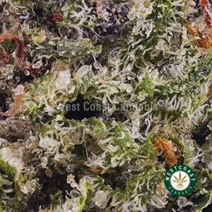 Buy weed Astro Pink AAAA (Popcorn Nugs) wc cannabis weed dispensary & online pot shop