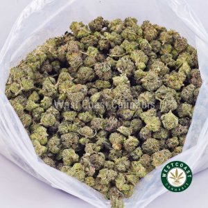 Buy weed Black Tuna AAAA (Popcorn Nugs) wc cannabis weed dispensary & online pot shop