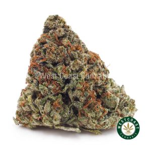 Buy weed Platinum Bubba Kush AAA wc cannabis weed dispensary & online pot shop