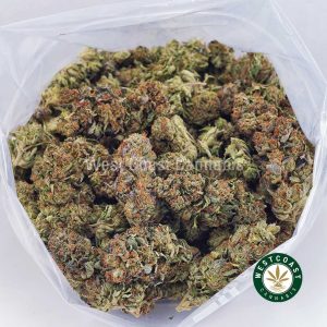 Buy weed Platinum Bubba Kush AAA wc cannabis weed dispensary & online pot shop