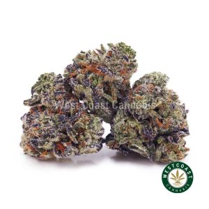 Buy weed White Truffle AAAA (Popcorn Nugs) wc cannabis weed dispensary & online pot shop