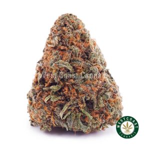 Buy weed Papaya Punch AA wc cannabis weed dispensary & online pot shop