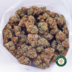 Buy weed Comatose OG AA wc cannabis weed dispensary & online pot shop