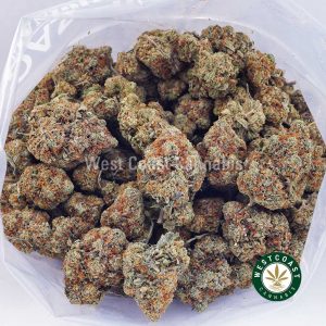 Buy weed Mango Gelato AAA wc cannabis weed dispensary & online pot shop