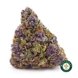 Buy weed Purple Trainwreck AA wc cannabis weed dispensary & online pot shop