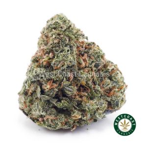 Buy weed Tropical Haze AAA wc cannabis weed dispensary & online pot shop