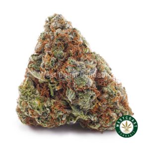 Buy weed King Tut AA wc cannabis weed dispensary & online pot shop