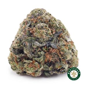 Buy weed Alien Cookies AAA wc cannabis weed dispensary & online pot shop