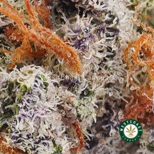 Buy weed Alien Cookies AAA wc cannabis weed dispensary & online pot shop