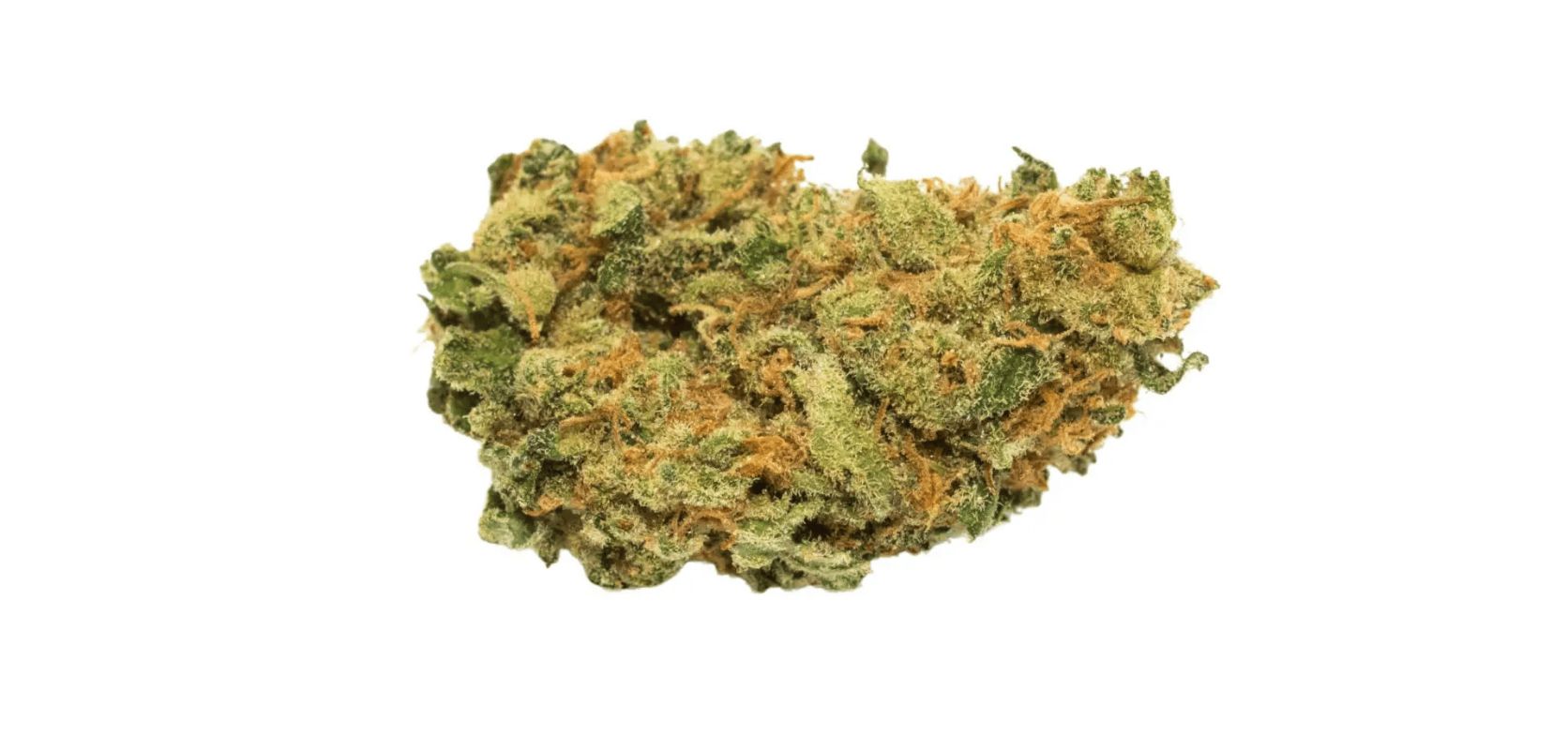 As mentioned before in the Amnesia Haze review, this Sativa is one of Canada's most potent weed strains. 