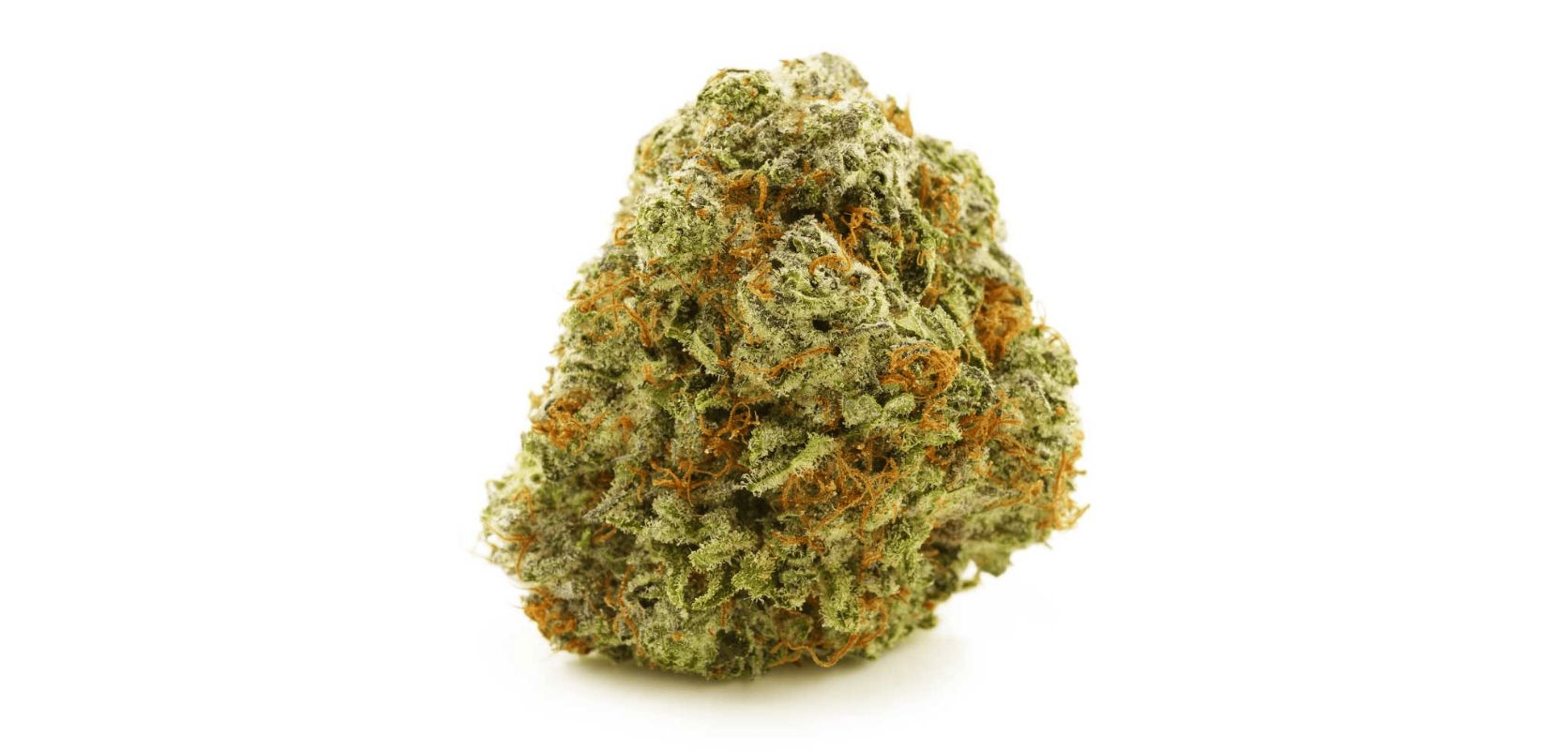 Like many other strains available in BC cannabis stores, Alaskan Thunderfuck may help with certain ailments. 