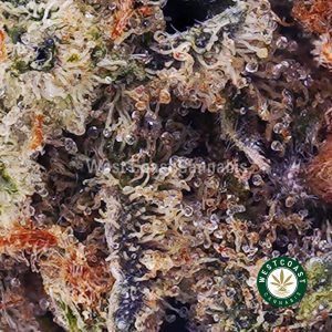 Buy weed Blackberry Kush AA wc cannabis weed dispensary & online pot shop