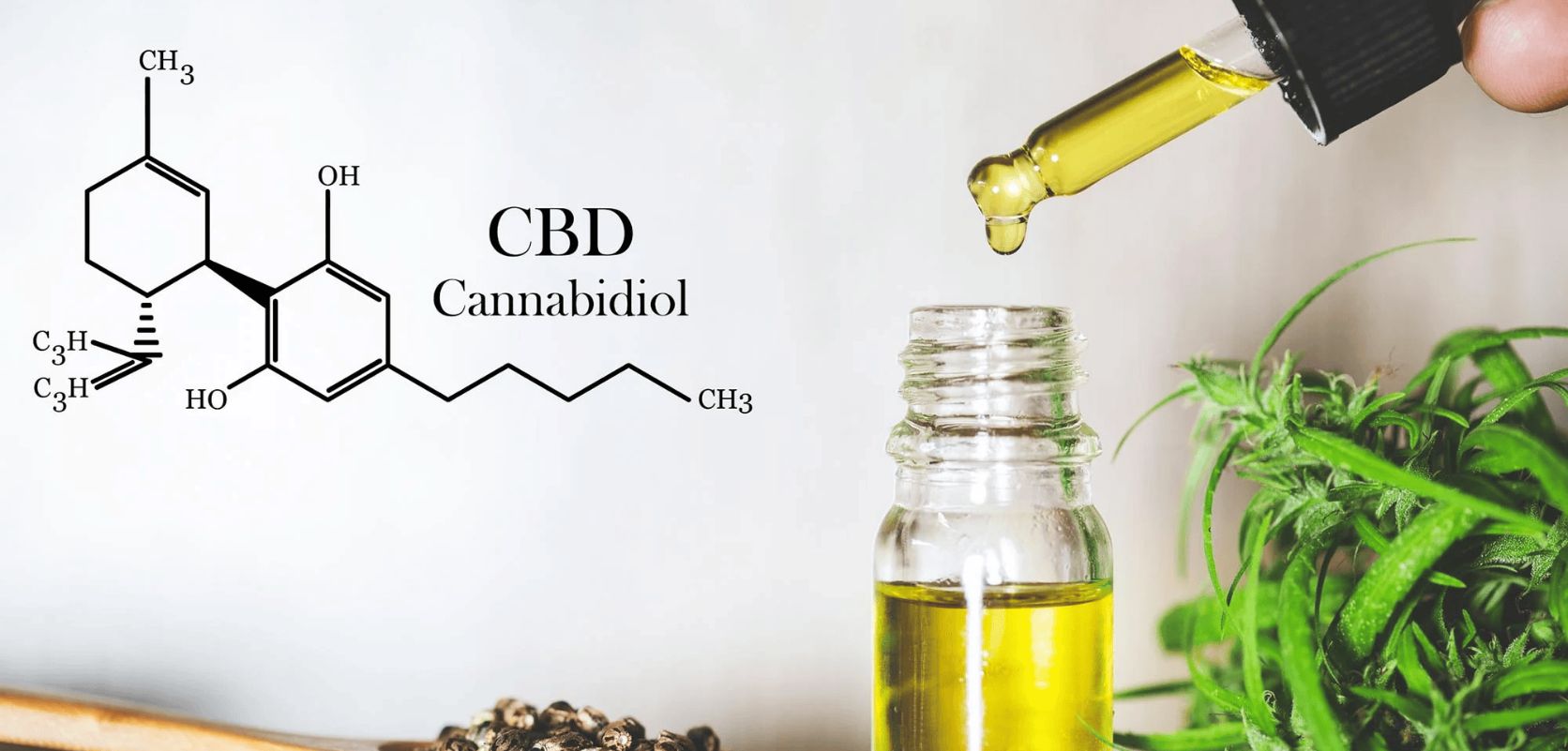 Before buying a CBD vape pen, it's crucial to understand the basics of cannabidiol. More importantly, you should know what differentiates CBD and THC from each other. 