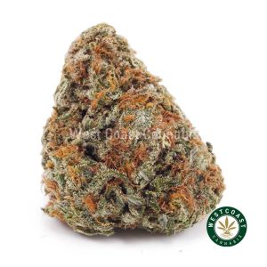 Buy weed Cannalope Haze AA wc cannabis weed dispensary & online pot shop