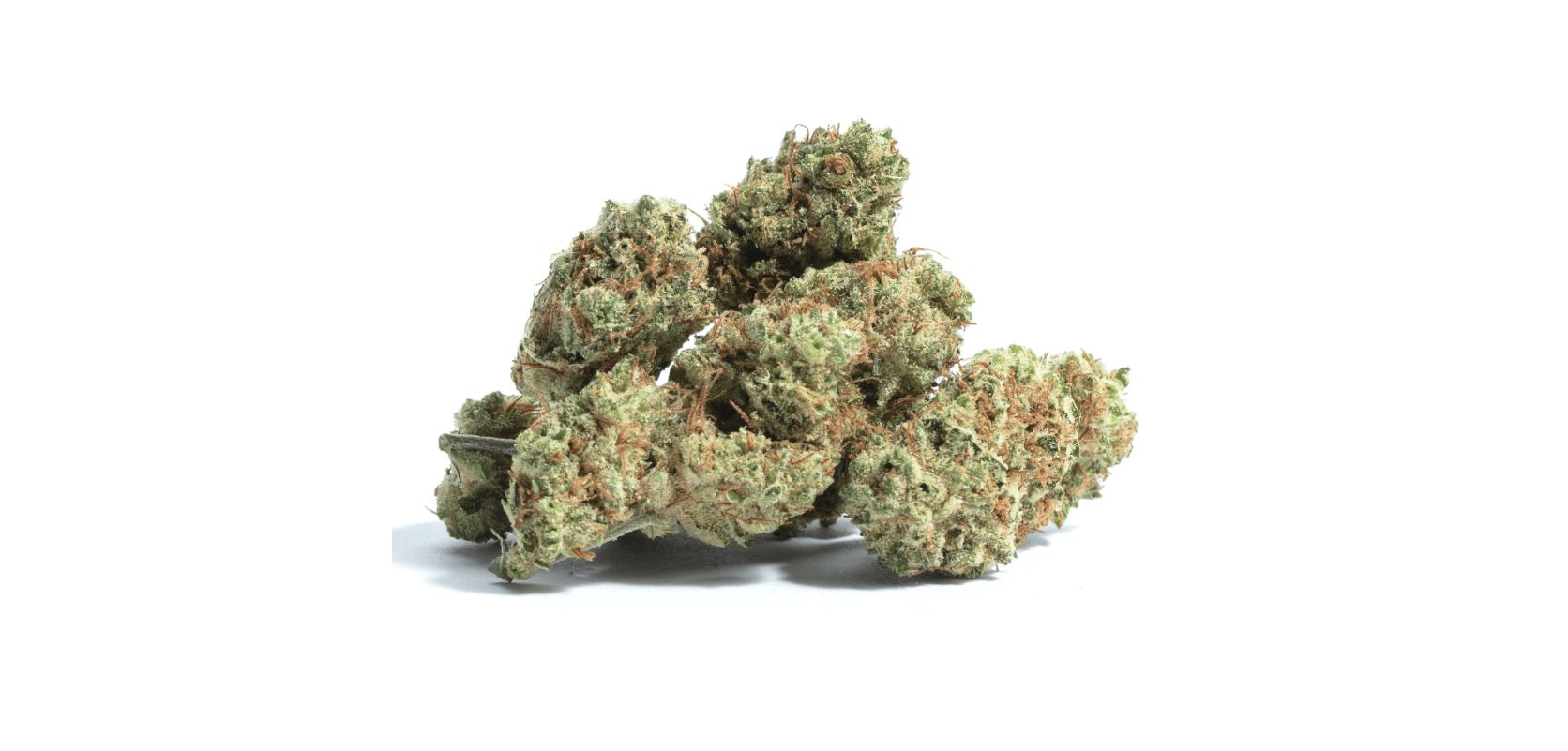 So, what's the deal with Chemdawg strain's aroma? If you’re asking this, here’s the answer. 