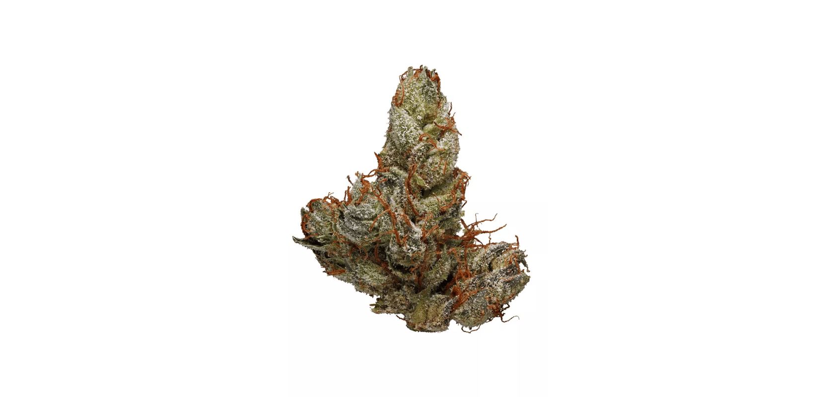 Now, let’s look at the Chemdawg strain effects in more detail so that you can decide if this bud can be your new favourite or not.