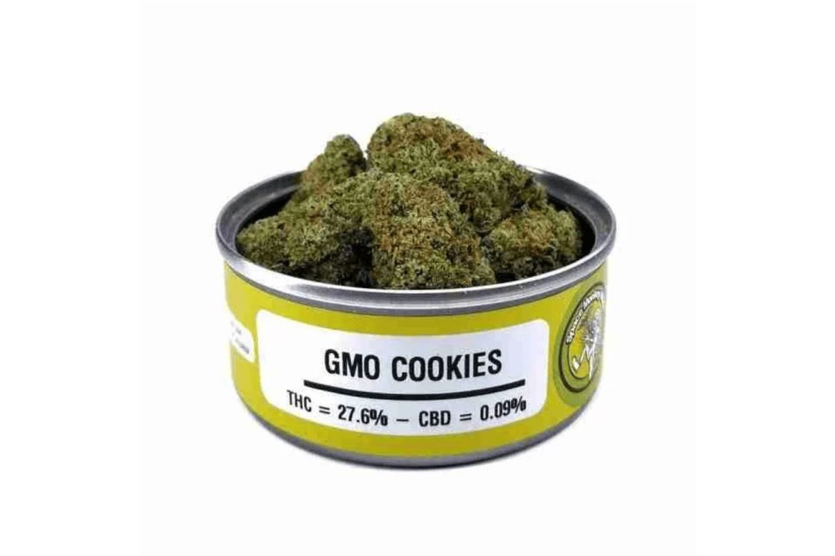 Godmother of the weed, GMO strain will knock your socks off with its potency and high. Buy weed from only online premium store, WCC.